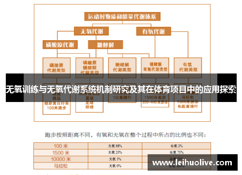 无氧训练与无氧代谢系统机制研究及其在体育项目中的应用探索